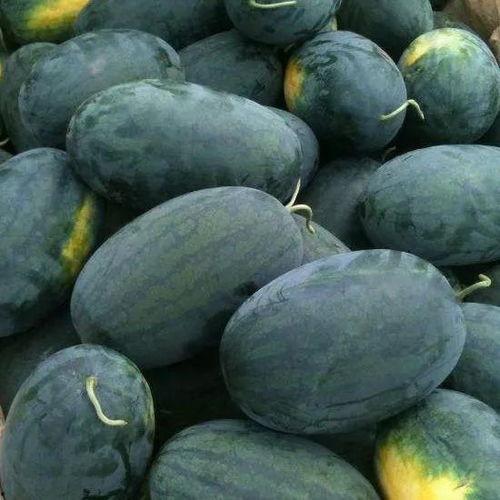 黑料吃黑瓜最新视频