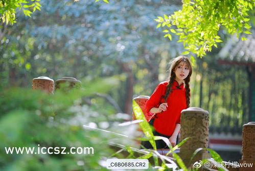 吃瓜黑料深圳,吃瓜黑料背后的真相与反思