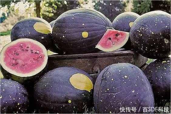 红黑料吃瓜爆料