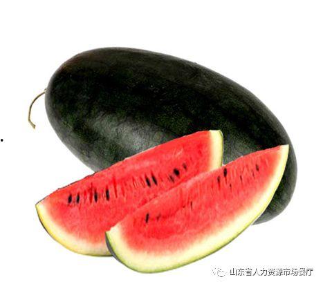 推特精选黑料吃瓜网,揭秘网络红人的真实面目”